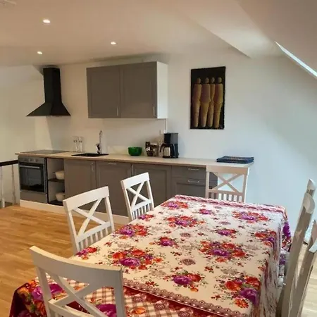 Leilighet The Green House - Spacious Loft In Center Of *