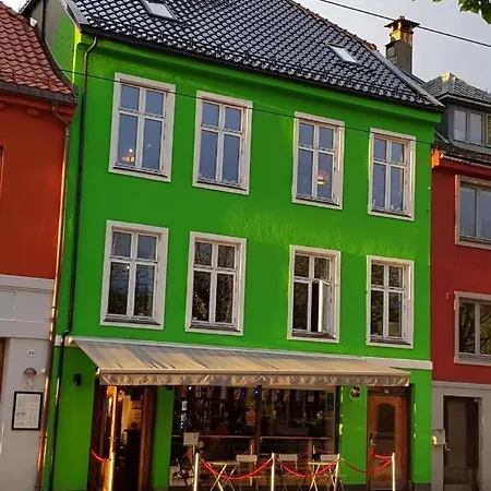 The Green House - Spacious Loft In Center Of Apartment Bergen