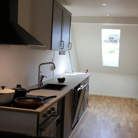 Apartment The Green House - Spacious Loft In Center Of *