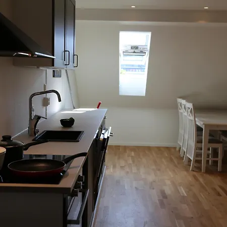 The Green House - Spacious Loft In Center Of * Bergen