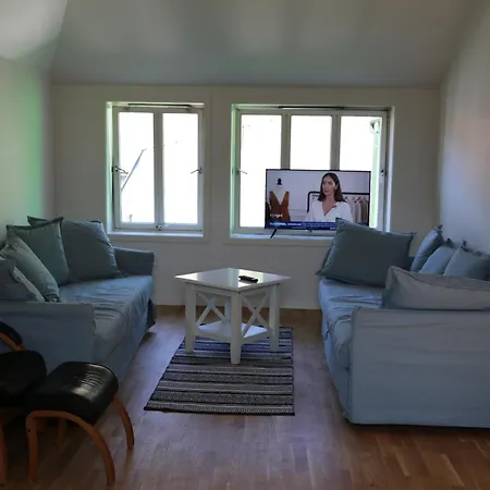 The Green House - Spacious Loft In Center Of Lägenhet