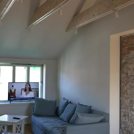 The Green House - Spacious Loft In Center Of Lägenhet