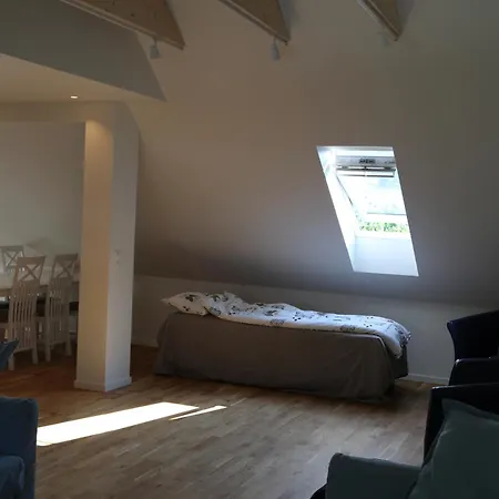 The Green House - Spacious Loft In Center Of Lägenhet Bergen